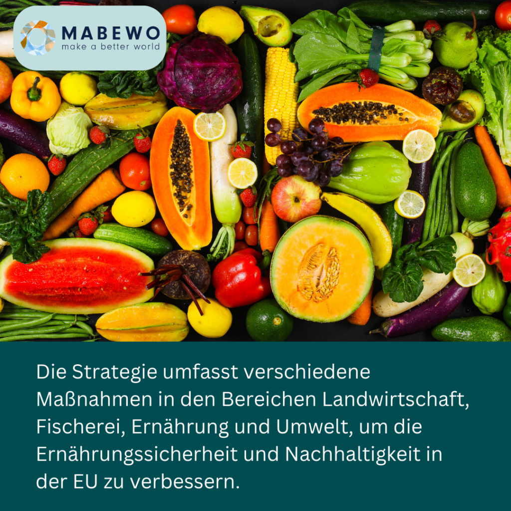 Mabewo AG - EU Strategie Ernährung