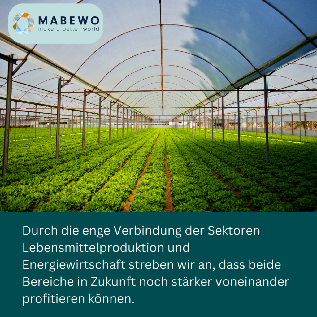 Mabewo AG - Lebensmittelproduktion und Energiewirtschaft