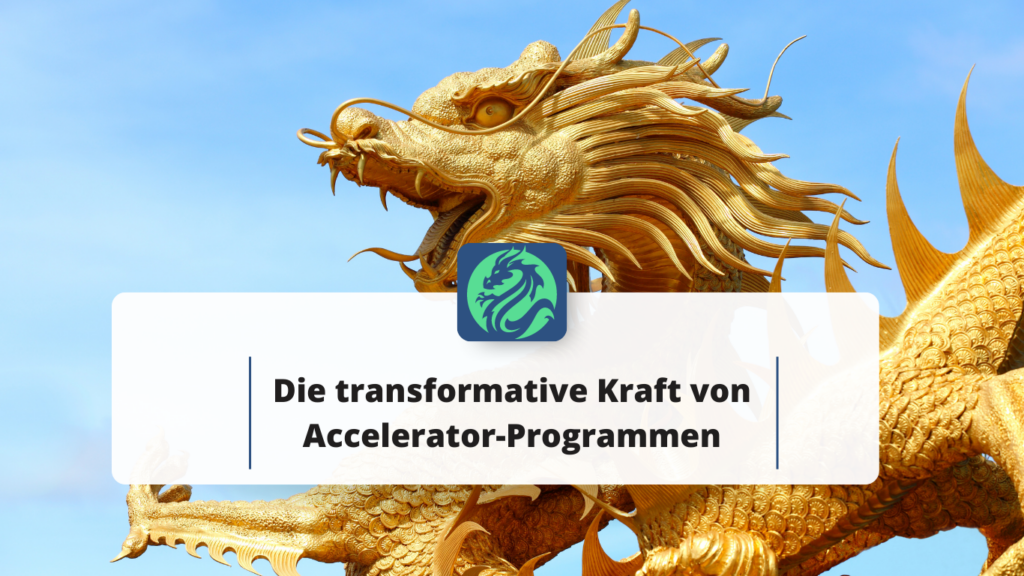 Dragon Founders INC - Accelerator Programm