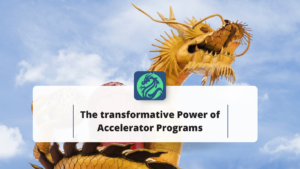 Dragon Founders INC - Acceletaror program