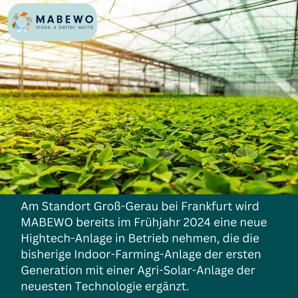 Mabewo AG - Inbetriebnahme einer hochmodernen Indoor-Farming-Anlage