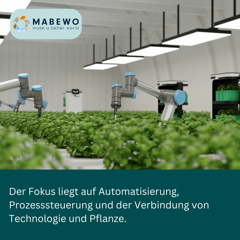 Mabewo AG - Verbindung von Technologie und Pflanzen