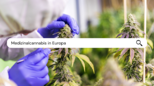 Helvezia AG - Medizinalcannabis in Europa