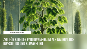 Klimaretter Paulownia - Farmers Future